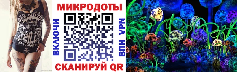 мега ссылки  Строитель  Галлюциногенные грибы Cubensis 
