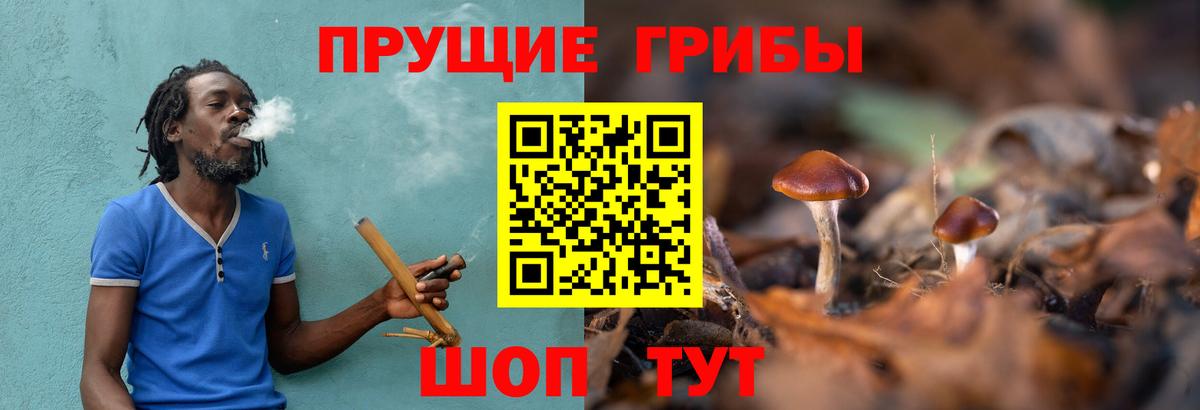 Галлюциногенные грибы Cubensis  Вход с VPN  Строитель 